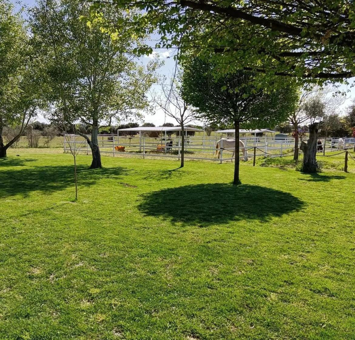 Casa Rural Granja Abril Cardiel de los Montes Kültér fotó